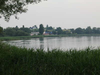 Reichenau2